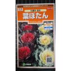 ３袋以上でクーポン割引 丸葉 系 葉牡丹 葉ぼたん ハ