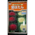 ３袋以上でクーポン割引 ちりめん 葉牡丹 混合 葉ぼた