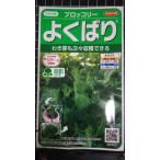 ３袋以上でクーポン割引 ブロッコリー よくばり わき芽 も次々 種 種子 郵便は送料無料