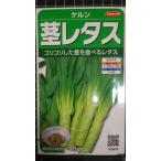３袋以上でクーポン割引 茎 レタス ケルン 種 郵便は送料無料