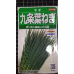 ３袋以上でクーポン割引 九条 葉ねぎ ハ ネギ 種 郵便は送料無料