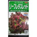 3 пакет и больше . купон скидка leaf lettuce красный вид семена mail. бесплатная доставка 