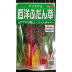 ３袋以上でクーポン割引 西洋 ふだん草 アイデアル ス