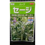 ３袋以上でクーポン割引 セージ サ