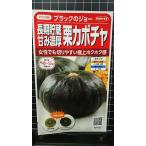 ３袋以上でクーポン割引 長期貯蔵 甘み濃厚 栗 カボチャ 黒皮 ブラックのジョー 南瓜 種 郵便は送料無料