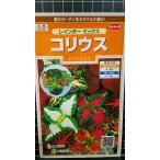 ３袋以上でクーポン割引 コリウス 