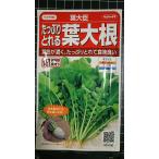 3 пакет и больше . купон скидка лист дайкон лист большой . вдоволь ... вид mail. бесплатная доставка 