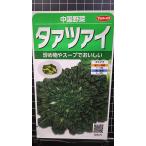 ３袋以上でクーポン割引 タァツァイ タアサイ 中国野