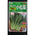 ３袋以上でクーポン割引 小松菜 早�