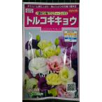3 пакет и больше . купон скидка Турция gi both . -слойный .. большой колесо техасский колокольчик .. вид mail. бесплатная доставка 