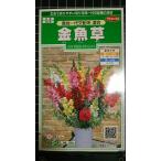 3 пакет и больше . купон скидка львиный зев большой высота . один плата . распределение вид mail. бесплатная доставка 