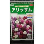 ３袋以上でクーポン割引 アリッサム ワンダーランド 