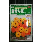 3 пакет и больше . купон скидка золотой .. цветок ka плита .la citrus compact календула вид mail. бесплатная доставка 