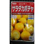 3 пакет и больше . купон скидка салат тыква Colin ключ юг . вид mail. бесплатная доставка примерно 10 шарик 