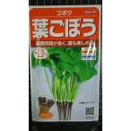 ３袋以上でクーポン割引 葉ごぼう ハゴボウ 牛蒡 種 