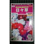 ３袋以上でクーポン割引 ビンカ 日々草 エクエイター 
