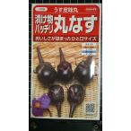 3 пакет и больше . купон скидка круг баклажан легкий кожа тест круг баклажан .. вид mail. бесплатная доставка 