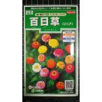 3 пакет и больше . купон скидка 100 день . высшее маленький колесо Mini pomponjiniahyaknichi saw вид mail. бесплатная доставка 