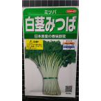 ３袋以上でクーポン割引 白茎 みつば 香味野菜 三つ葉