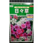 ３袋以上でクーポン割引 日々草 パレード ビンカ ニチ