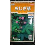 3 пакет и больше . купон скидка ....... похоже mimo The вид mail. бесплатная доставка 