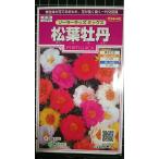 3 пакет и больше . купон скидка сосна лист .. солнечный Kids ...... вид mail. бесплатная доставка 