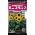 3 пакет и больше . купон скидка Mini подсолнух Junior Mukou . вид mail. бесплатная доставка 