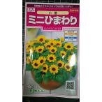 3 пакет и больше . купон скидка Mini подсолнух маленький лето Mukou . вид mail. бесплатная доставка 