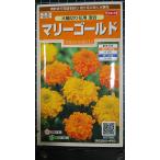 3 пакет и больше . купон скидка Marie Gold большой колесо срезанные цветы ...... десять тысяч .. вид mail. бесплатная доставка 