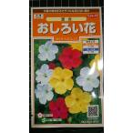3 пакет и больше . купон скидка пудра цветок o белый ibana вид mail. бесплатная доставка 