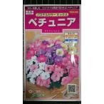 3 пакет и больше . купон скидка pechunia пастель цвет Mix вид mail. бесплатная доставка 