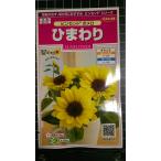 3 пакет и больше . купон скидка подсолнух ведро цент pomero вид mail. бесплатная доставка 