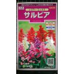 3 пакет и больше . купон скидка sa рубин asizla- Mix вид mail. бесплатная доставка 