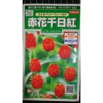 3 пакет и больше . купон скидка красный цветок тысяч день . клубника поле sennichikou вид mail. бесплатная доставка 
