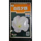 3 пакет и больше . купон скидка белый цветок . лицо .... вид mail. бесплатная доставка 