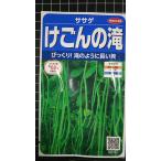 3 пакет и больше . купон скидка ....... .sasage вид mail. бесплатная доставка 