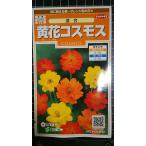 3 пакет и больше . купон скидка желтый цветок Cosmos смешивание осень Sakura вид mail. бесплатная доставка 