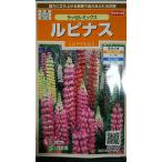 3 пакет и больше . купон скидка rupinaslase Lumix вид mail. бесплатная доставка 