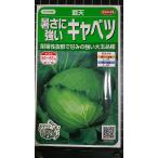 3 пакет и больше . купон скидка теплота . сильный капуста индиго небо вид mail. бесплатная доставка 