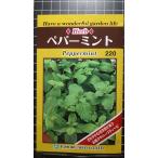 ３袋以上でクーポン割引 ペパーミント 種 郵便は送料無料