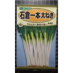 3 пакет и больше . купон скидка камень . 1 шт futoshi лук порей f тон gi. вид mail. бесплатная доставка 