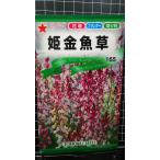 ３袋以上でクーポン割引 姫 金魚草 リナリア 種 郵便は送料無料