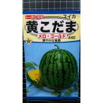 3袋以上でクーポン割引 黄 小玉 スイカ メロゴールド こだま 西瓜 種 郵便は送料無料