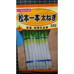 3 пакет и больше . купон скидка Matsumoto 1 шт futoshi лук порей лук-батун . вид mail. бесплатная доставка 