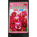 3 пакет и больше . купон скидка анютины глазки Sakura Sakura вид mail. бесплатная доставка 