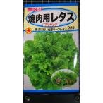 3 пакет и больше . купон скидка yakiniku для lettuce chima солнечный chi листься гибрида сельдерея и салата chima солнечный Terry f вид mail. бесплатная доставка 