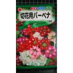 ３袋以上でクーポン割引 切花用 バーベナ 種 郵便は送