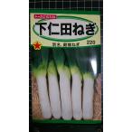 ３袋以上でクーポン割引 下仁田 ねぎ 殿様ネギ  葱 種 郵便は送料無料