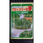 ３袋以上でクーポン割引 ブロッコリー の芽 種 スプラウト 郵便は送料無料