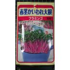 ３袋以上でクーポン割引 赤茎 かいわれ 大根 フラミンゴ カイワレダイコン 種 郵便は送料無料